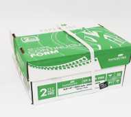Continous Form 9 1/2 x 11 (2 Ply) PRS ( POTONGAN/ DIBAGI 2 )