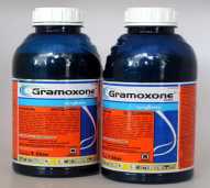 GRAMOXONE RACUN RUMPUT/HERBISIDA 1 LITER