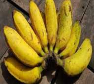 PISANG AMBON