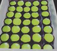kue lumpang