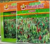 Benih Cabai Rawit Annum
