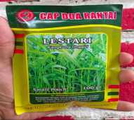 Benih Kangkung