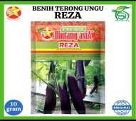 Benih Terong Ungu Reza