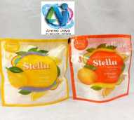 STELLA ALL IN ONE GANTUNG PENGHARUM RUANGAN 70 GR